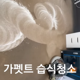 카펫트 습식 청소